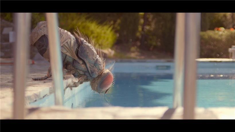 Dans „Mandibules“, une mouche géante investit une résidence de bobos
