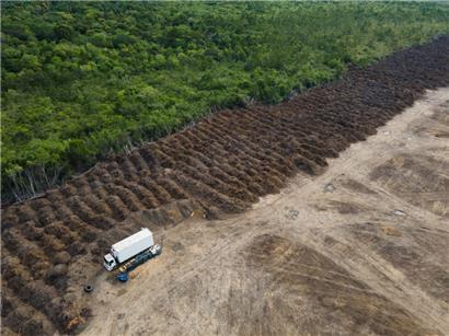 Das Abkommen zwischen der EU und dem Mercosur darf nicht zu einer weiteren Zerstörung des Regenwaldes führen. Dessen Schutz muss garantiert sein. Hier ein abgeholztes Gebiet bei Porto Velho (Brasilien).
