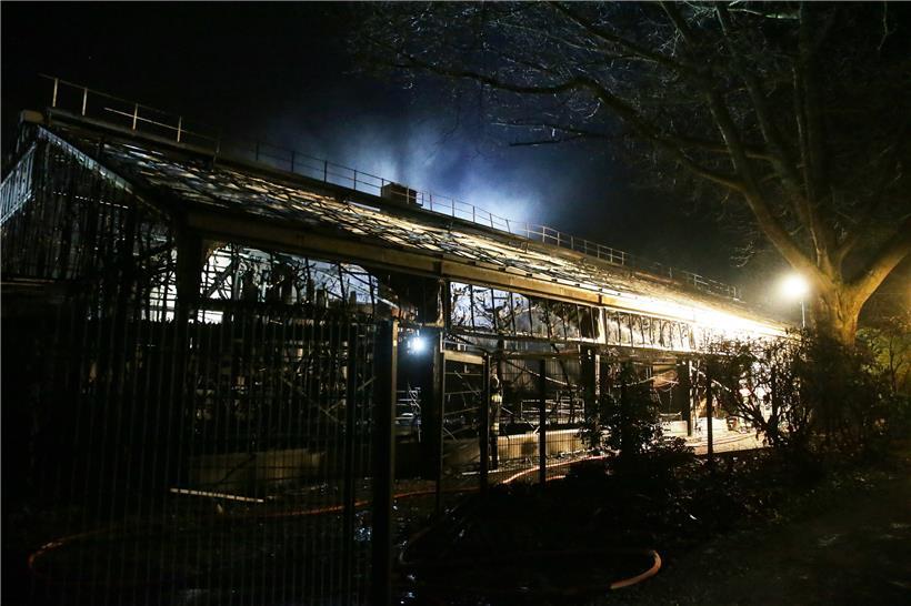 Das Affenhaus des Krefelder Zoos nach dem Brand in der Silvesternacht. 
