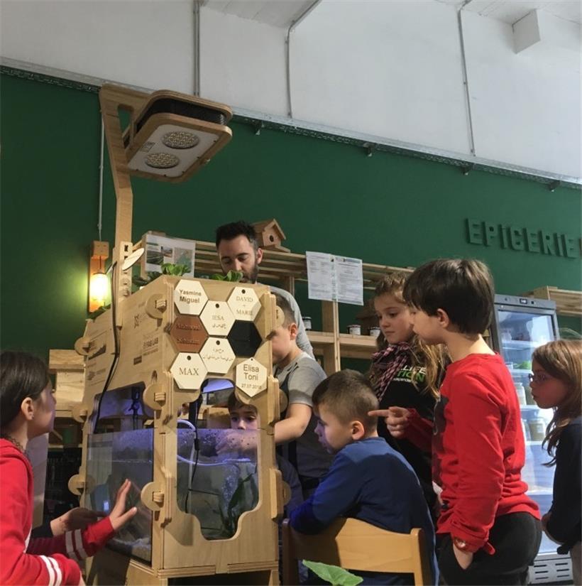 Das Aquaponik-System war ein Jahr lang im 4U in der rue du Brill installiert und...