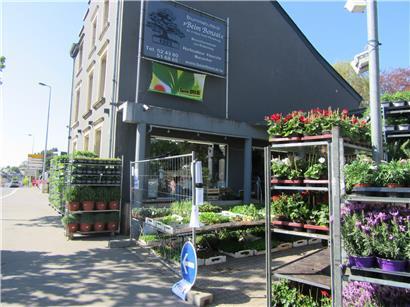 Das Blumenfachgeschäft „Beim Bonsai“ hat nach einem Monat wieder für Kunden geöffnet
