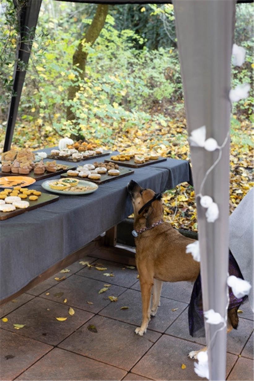 Das Buffet lässt erahnen: Hier ist man nicht nur erlaubt, sondern erwünscht
