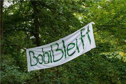 Das „Contournement“ ist ein umstrittenes Thema: Der Teil des Waldes, der der Umgehungsstraße geopfert werden soll, wurde schon besetzt
