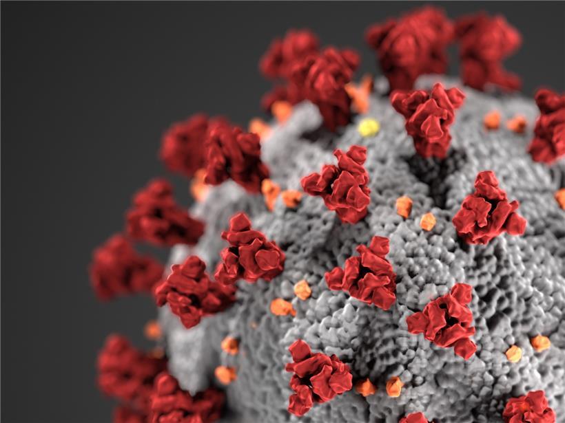 Das Coronavirus in einer von den amerikanischen Centers for Disease Control erstellten Illustration
