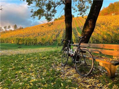 Das Fahrrad erobert die Weinberge an der Luxemburger Mosel
