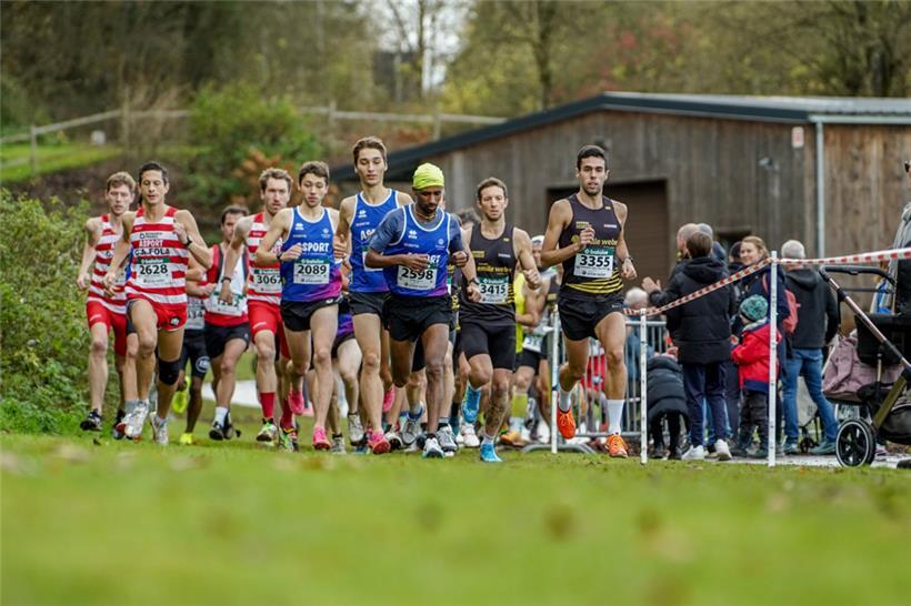 Das Feld gleich nach dem Start