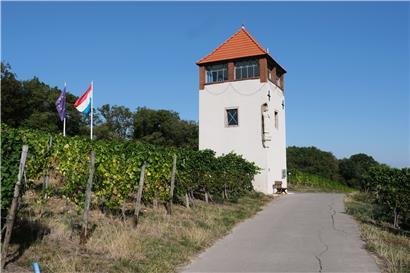 Das Fest findet dieses Jahr nicht unten im Dorf, sondern oben beim Markusturm auf dem Markusberg statt
