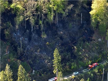 Feuer bricht in schwer zugänglichem Waldstück aus, Waldbrand mit dichten Bäumen und Rauchentwicklung sichtbar