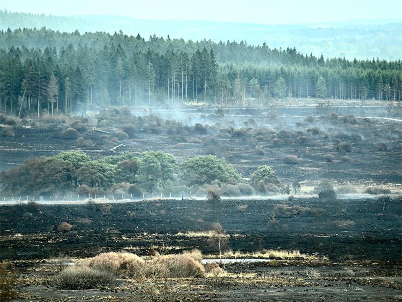 Das Feuer vernichtete innerhalb weniger Tage rund 3.000 Hektar Vegetation