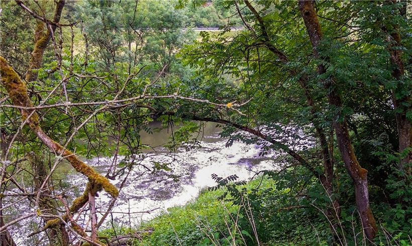 Das Foto der Polizei zeigt die seifig-verschmutzte Sauer bei Echternach am 15. Juni 2020.
