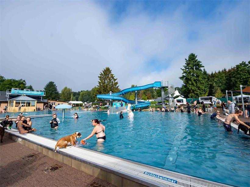 Freibad Befort mit Menschen und Hunden beim jährlichen Hundebadetag im Schwimmbad draußen