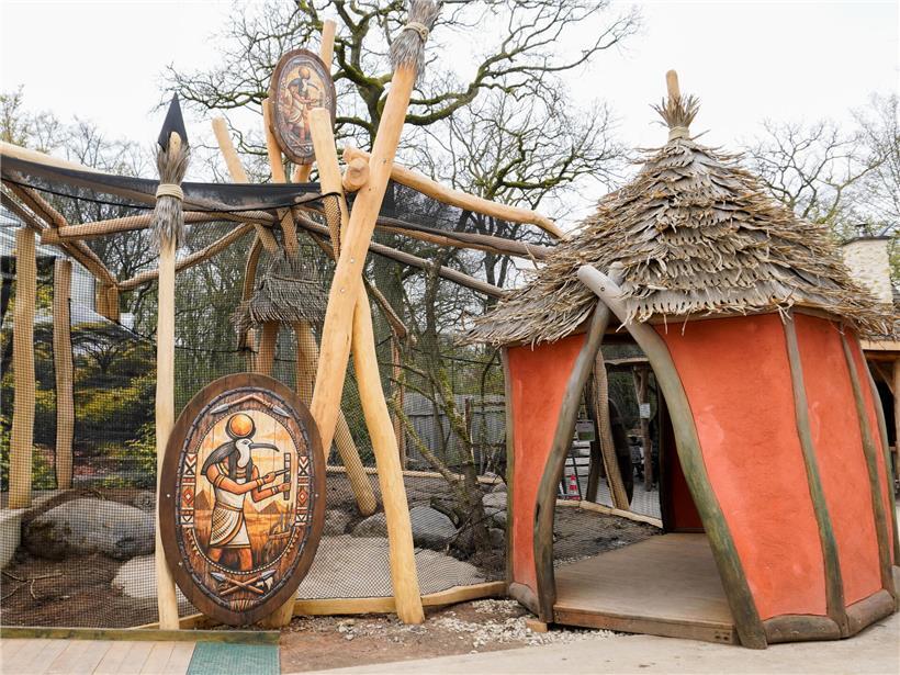 Gehege für afrikanische Ibisse im Zoo, neue Attraktion 2024, naturnahe Vogelhaltung und Artenschutz