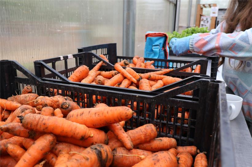 Das Gemüse aus Esch kann man vor Ort kaufen, im Korb nach Hause bestellen oder auf dem Wochenmarkt der Stadt finden
