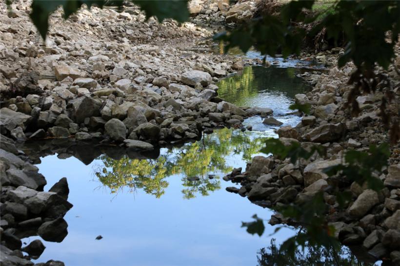 Das Gesetz verpflichtet die EU-Länder, bis 2030 mindestens je 20 Prozent der geschädigten Flächen und Meeresgebiete wiederherzustellen
