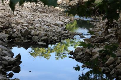 Das Gesetz verpflichtet die EU-Länder, bis 2030 mindestens je 20 Prozent der geschädigten Flächen und Meeresgebiete wiederherzustellen
