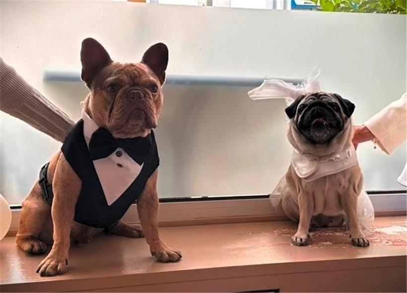 Das Hochzeitsfoto: Tobi und Kelly kurz nach ihrer Trauung
