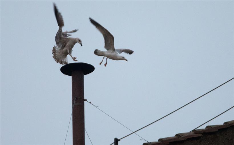 Das Konklave der Kardinäle wählt den neuen Papst in der Sixtinischen Kappelle neben dem Petersdom – und verbrennt danach die Wahlzettel in einem Kamin. Aus diesem Schornstein quillt weißer Rauch, wenn das Konklave einen Papst gefunden hat – oder schwarzer, wenn kein Kandidat die nötige Mehrheit bekommen hat. 
