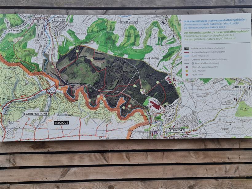 Das Mirador-Gebiet ist sehr weitläufig.