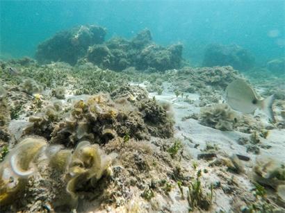 Mittelmeer erwärmt sich schnell und wird salziger, zeigt Studie zum Klimawandel und Meeresumweltveränderungen