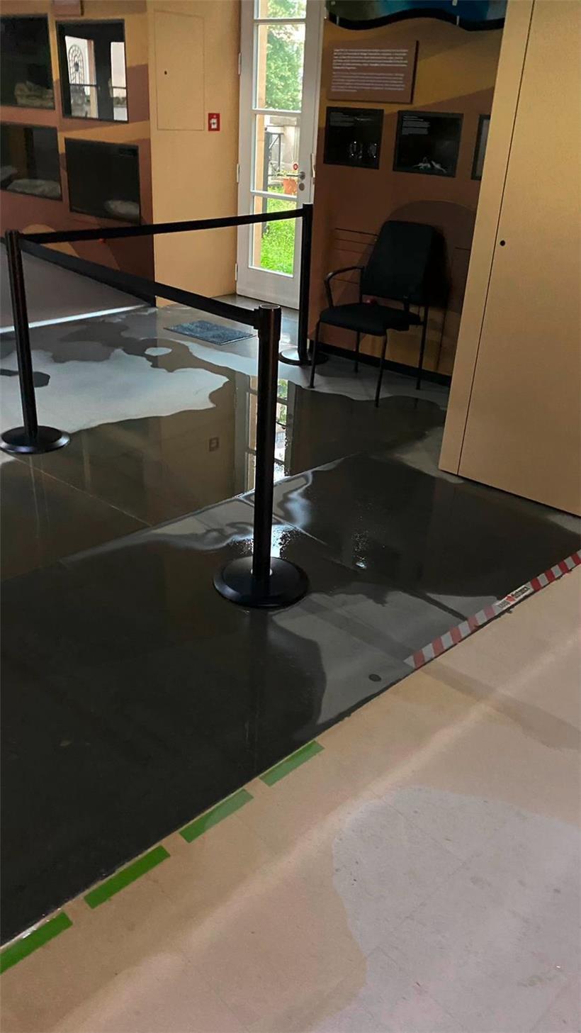 Das „Naturmusée“ kam vergleichsweise glimpflich davon. Zwar drang Wasser in zwei Ausstellungsräume ein, doch wurde kein Objekt beschädigt.
