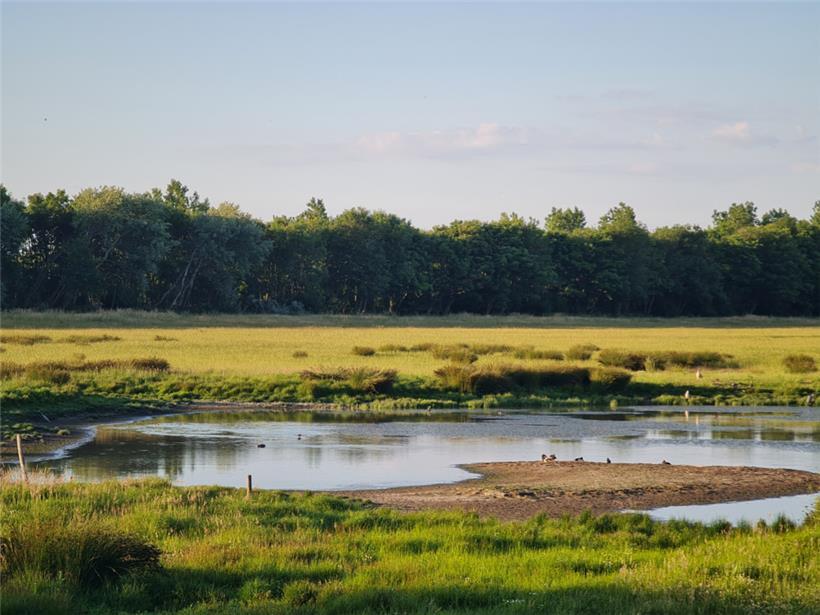 Das Naturreservat bietet eine einzigartige, fast unberührte Landschaft
