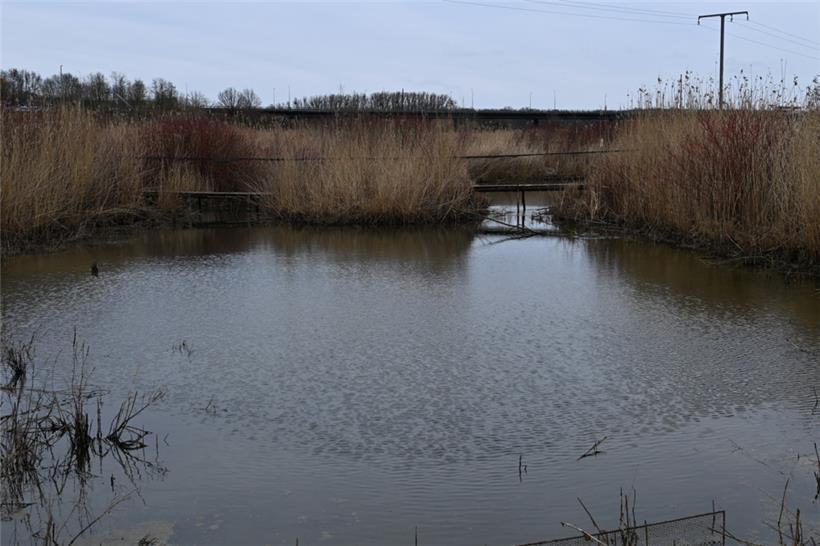 Das Naturschutzgebiet „Schlammwiss“
