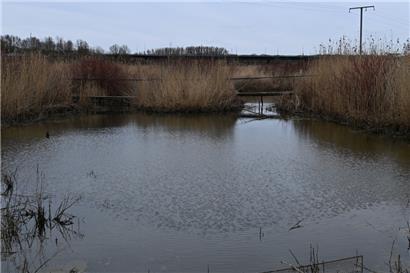 Das Naturschutzgebiet „Schlammwiss“
