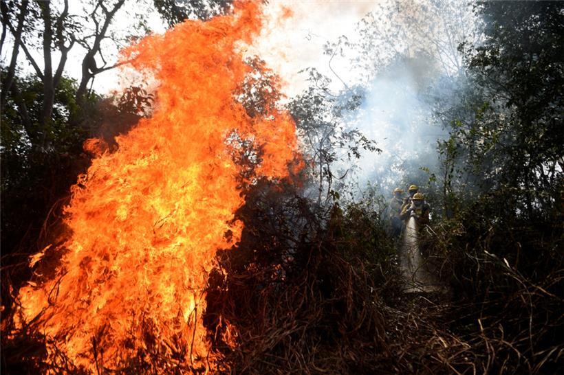 Das Pantanal, eines der größten Binnenland-Feuchtgebiete der Welt, erlebt zurzeit die höchste Zahl an Waldbränden seit Beginn der Aufzeichnungen
