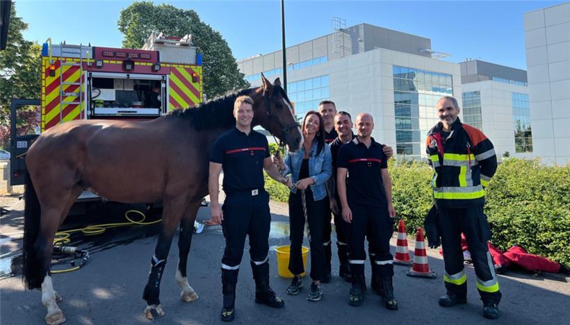 Das Pferd nach der Rettungsaktion mit seiner Besitzerin und seinen Rettern
