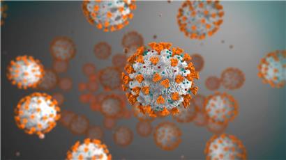 Das SARS-CoV-2-Virus, Ursache der COVID-19-Krankheit. (Grafik)
