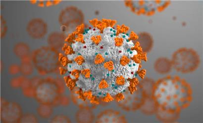 Das SARS-CoV-2-Virus, Ursache des Covid-19-Ausbruchs
