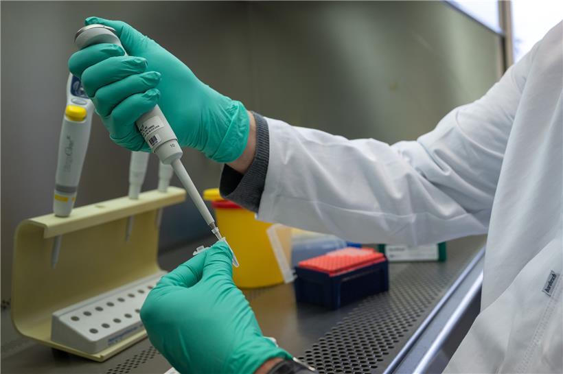 Das Symbolbild zeigt, wie ein Forscher eine PCR-Probe für eine Sequenzierung vorbereitet
