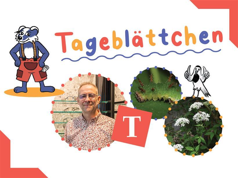 Das Tageblättchen: die Kinderseite des Tageblatt