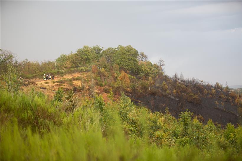 Das Terrain war eine besondere Herausforderung für die Feuerwehr