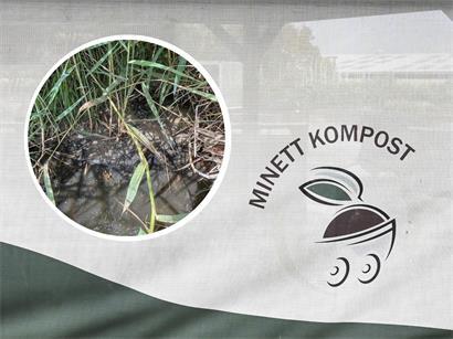 Das Umweltministerium hat am Freitag die Umweltverschmutzung durch das Minett-Kompost bestätigt