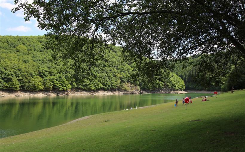 Das Wasser des Stausees, so verlockend es bei der Hitze auch erscheinen mag, ist mit Blaualgen verseucht
