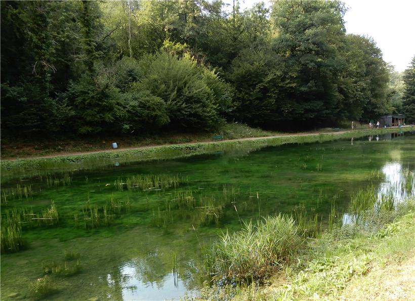 Das Wasser hat Trinkwasserqualität
