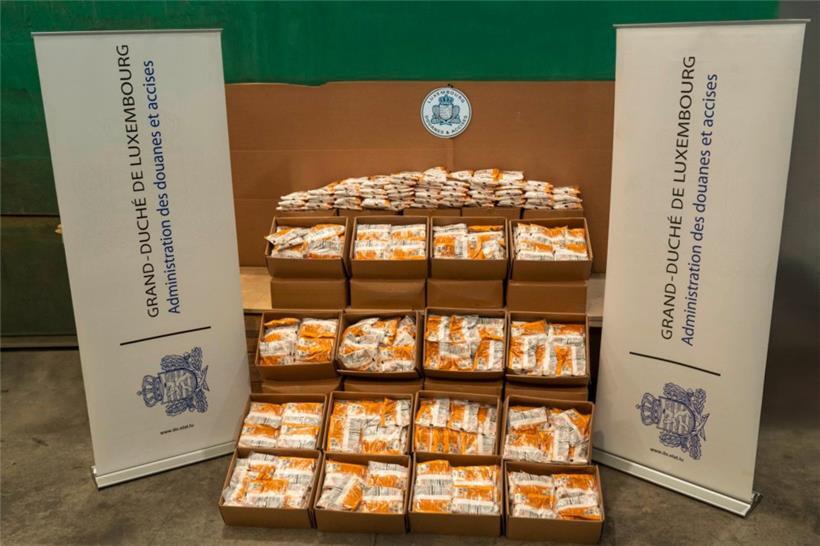 Das am Flughafen sichergestellte Kokain wurde am vergangenen Donnerstag vernichtet
