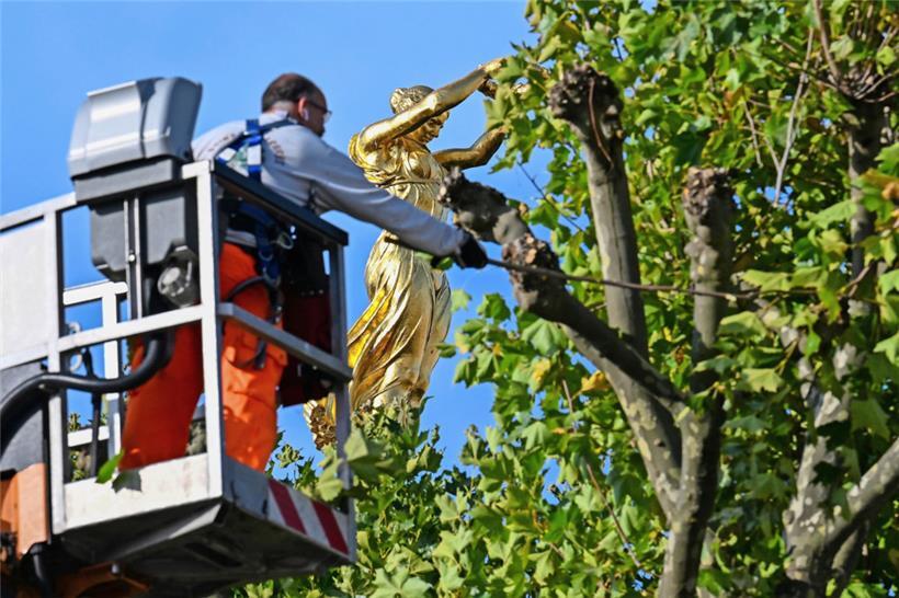 Das neue Naturschutzgesetz verspricht mehr Grün im städtischen Raum: Hier wird ein Baum vor der „Gëlle Fra“ gestutzt
