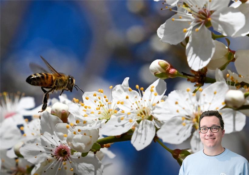 Das trockene Frühlingswetter setzt sich fort
