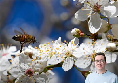 Das trockene Frühlingswetter setzt sich fort
