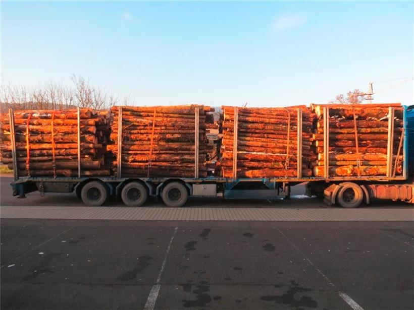 Das tut schon beim Hinsehen weh: Dieser Holztransport war mit knapp 47 Tonnen Gewicht tatsächlich unterwegs
