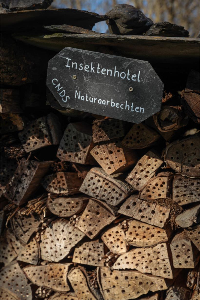 Dauerhaft geschlossene „Löcher” heißen nicht, dass keine Insekten mehr schlüpfen...