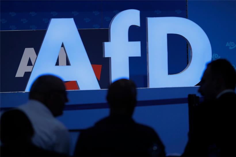 Delegierte vor dem Parteilogo beim AfD-Bundesparteitag in der Magdeburger Messe
