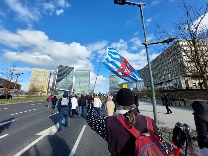 Demonstranten marschieren am Samstagnachmittag in Richtung Philharmonie
