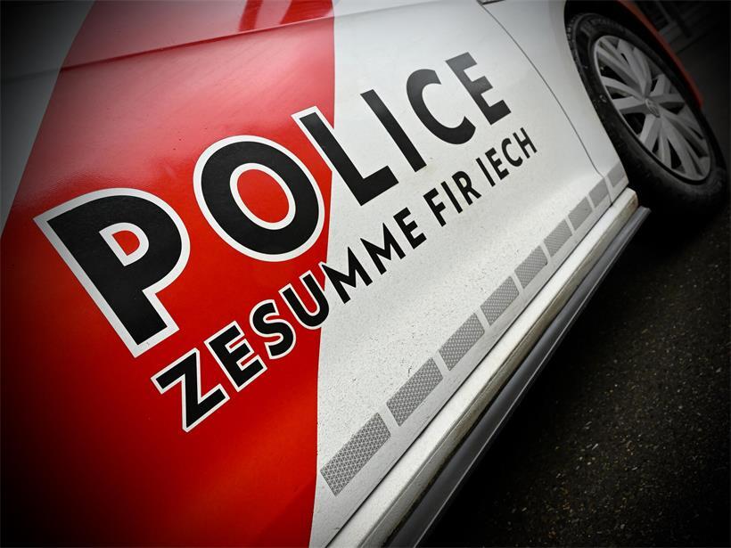 Den Beamten gingen zwei mutmaßliche Diebe ins Netz