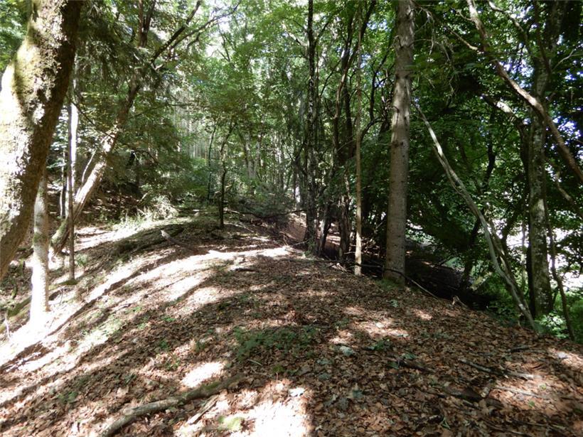 Den Berghang hinab fuhr die Tram in Richtung Kayl
