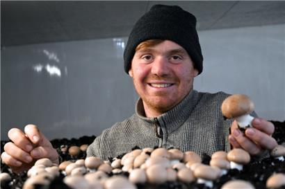 Der 29-jährige Landwirt Jeff Diderrich bei der Arbeit in einer der drei speziell für die Pilzzucht errichteten Kammern
