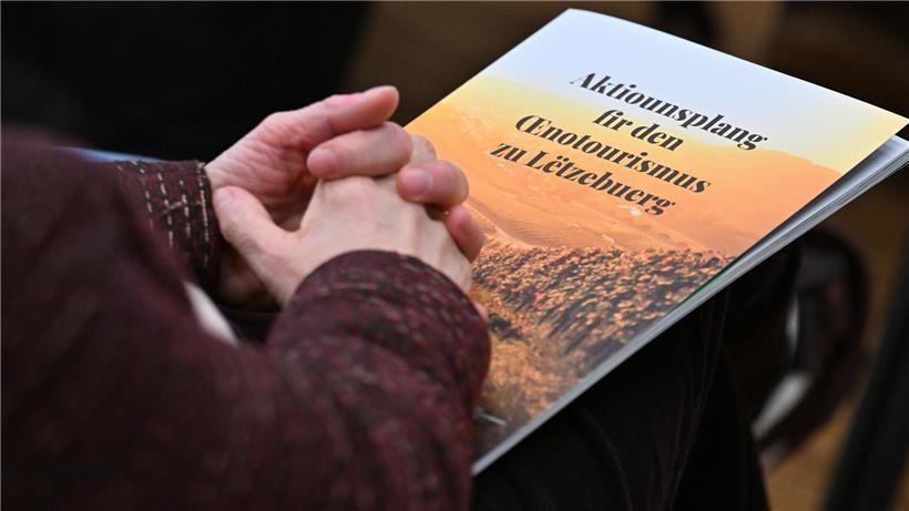 48-seitiger Aktionsplan als übersichtliches Dokument für strategische Unternehmensentwicklung und Zielerreichung