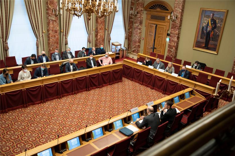 Der Ablauf der öffentlichen Debatten (hier im Bild die Debatte über das Covid-Check-System im Februar) waren am Mittwoch Thema des Petitionsausschusses  
